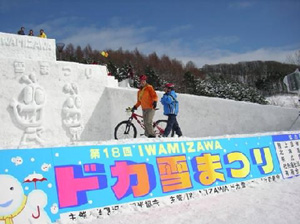 ICE BIKE