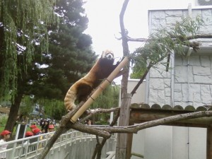 昼休みに円山動物園