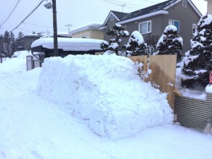 あけましておめでとうございます。本年もご指導、ご鞭撻のほどよろしくお願いします。