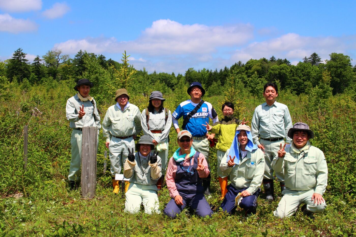 2015植樹ボランティア（下刈編）に参加してきました！