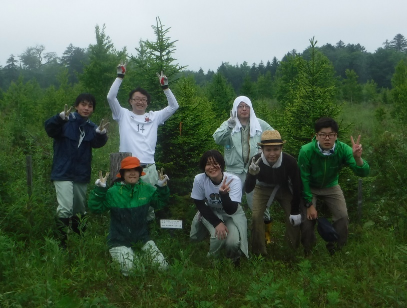 2016植樹ボランティア（下刈編）に参加しました！