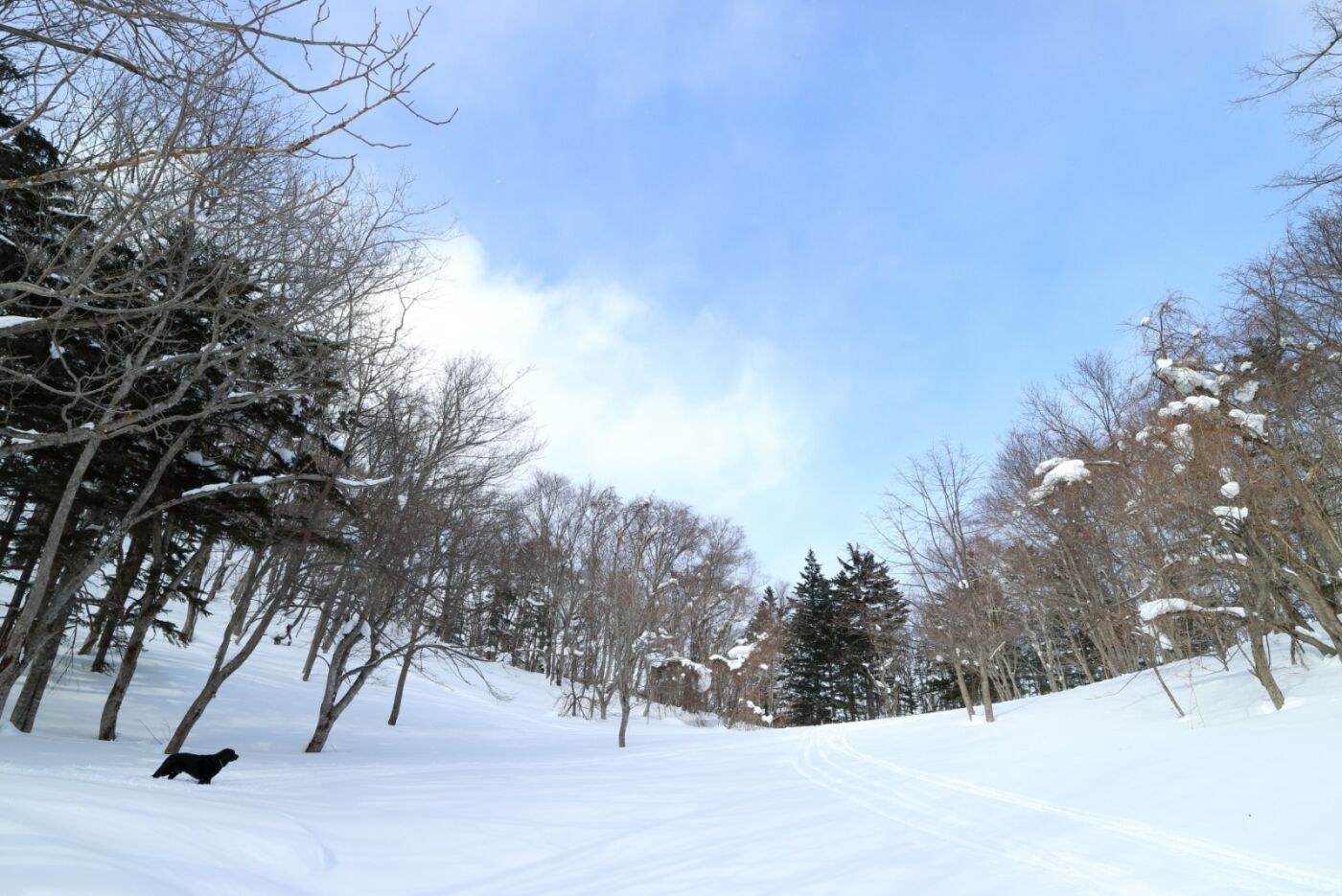 たまに冬山遊び