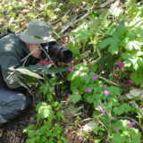 自然環境調査を主に担当。昼は動植物を夜はご当地グルメを調査！