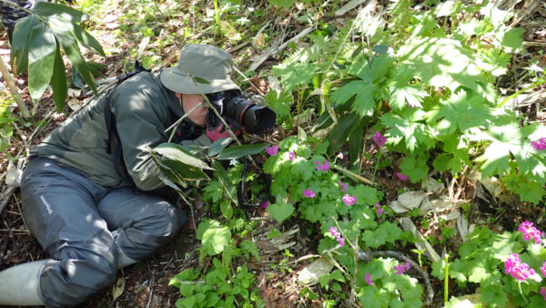 自然環境調査を主に担当。昼は動植物を夜はご当地グルメを調査！